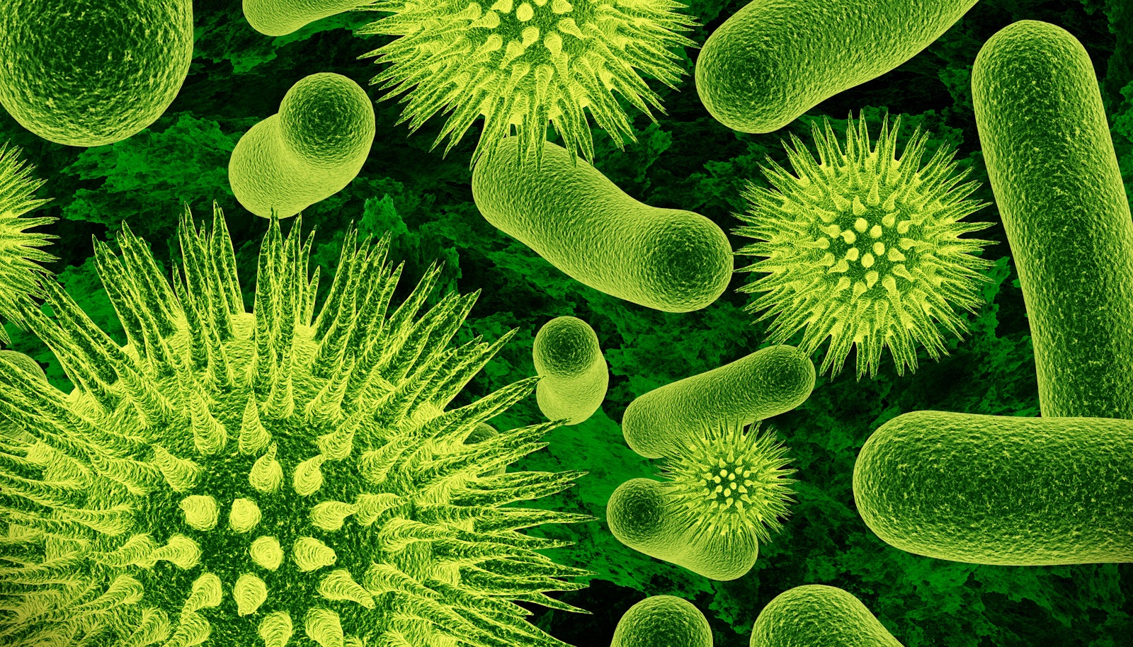 Biosensors Update