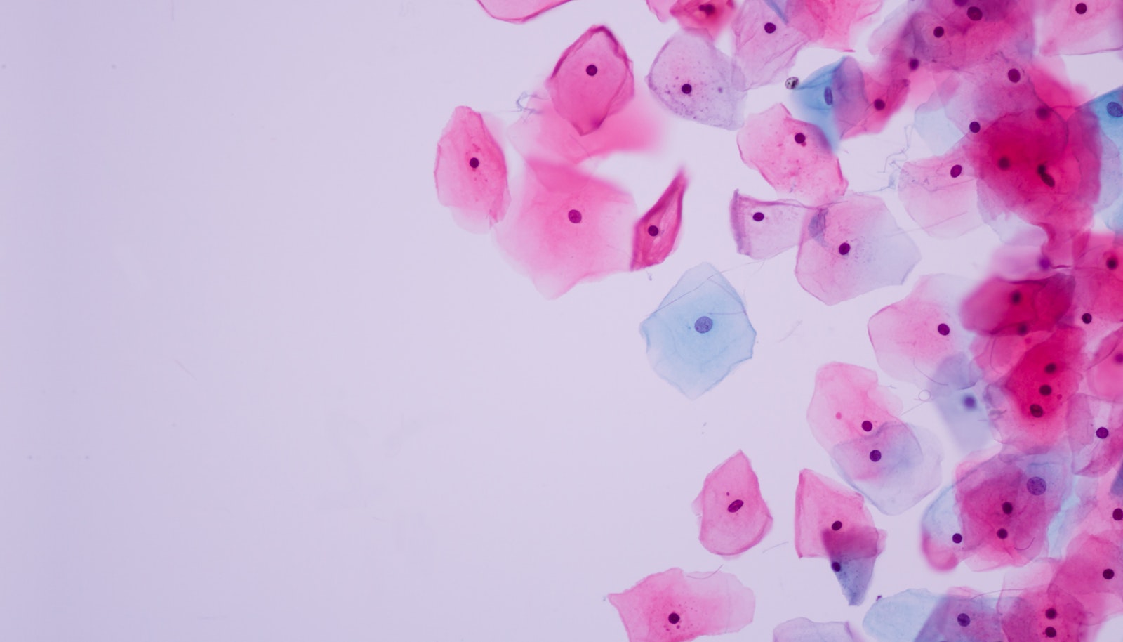 Cell Gene