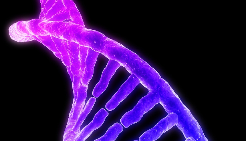 Shutterstock 11040673 Dna