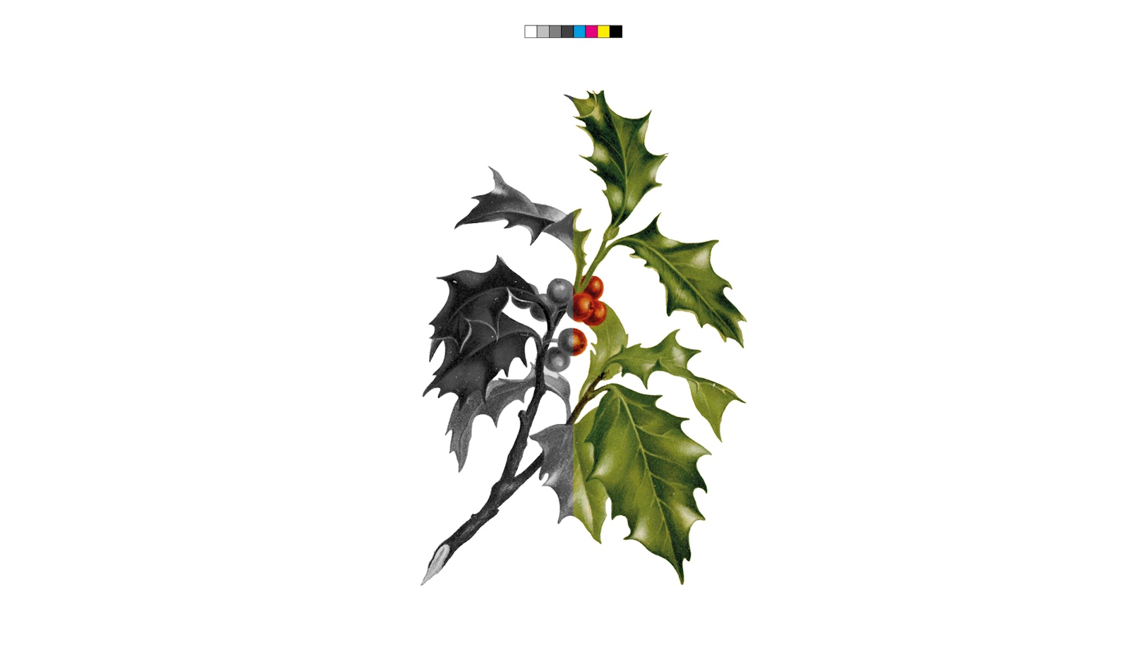 Christmas Cards